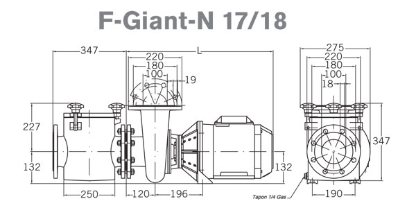      PSH F-Giant 17