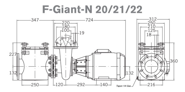      PSH F-Giant-N 21
